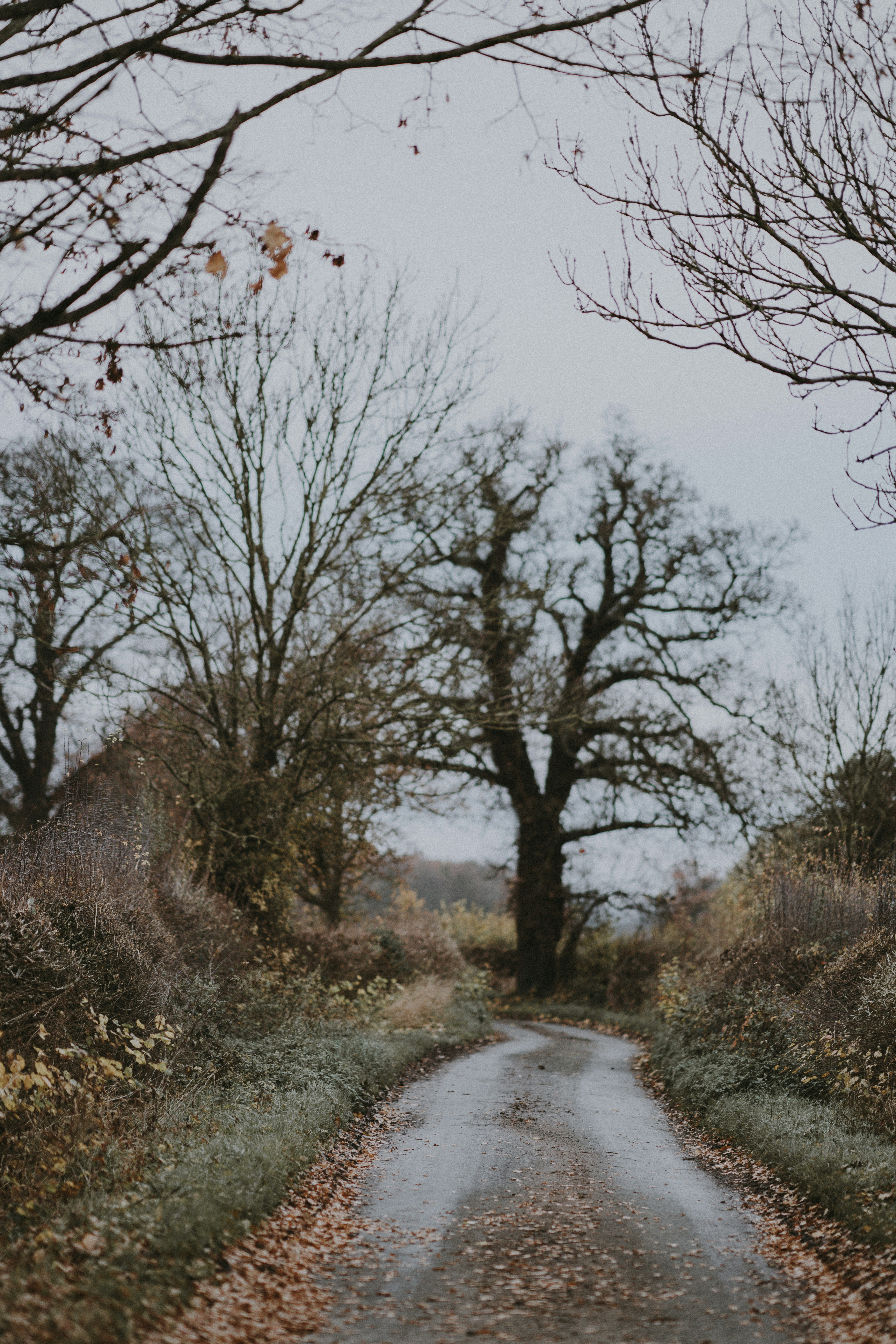 Photo by anniespratt