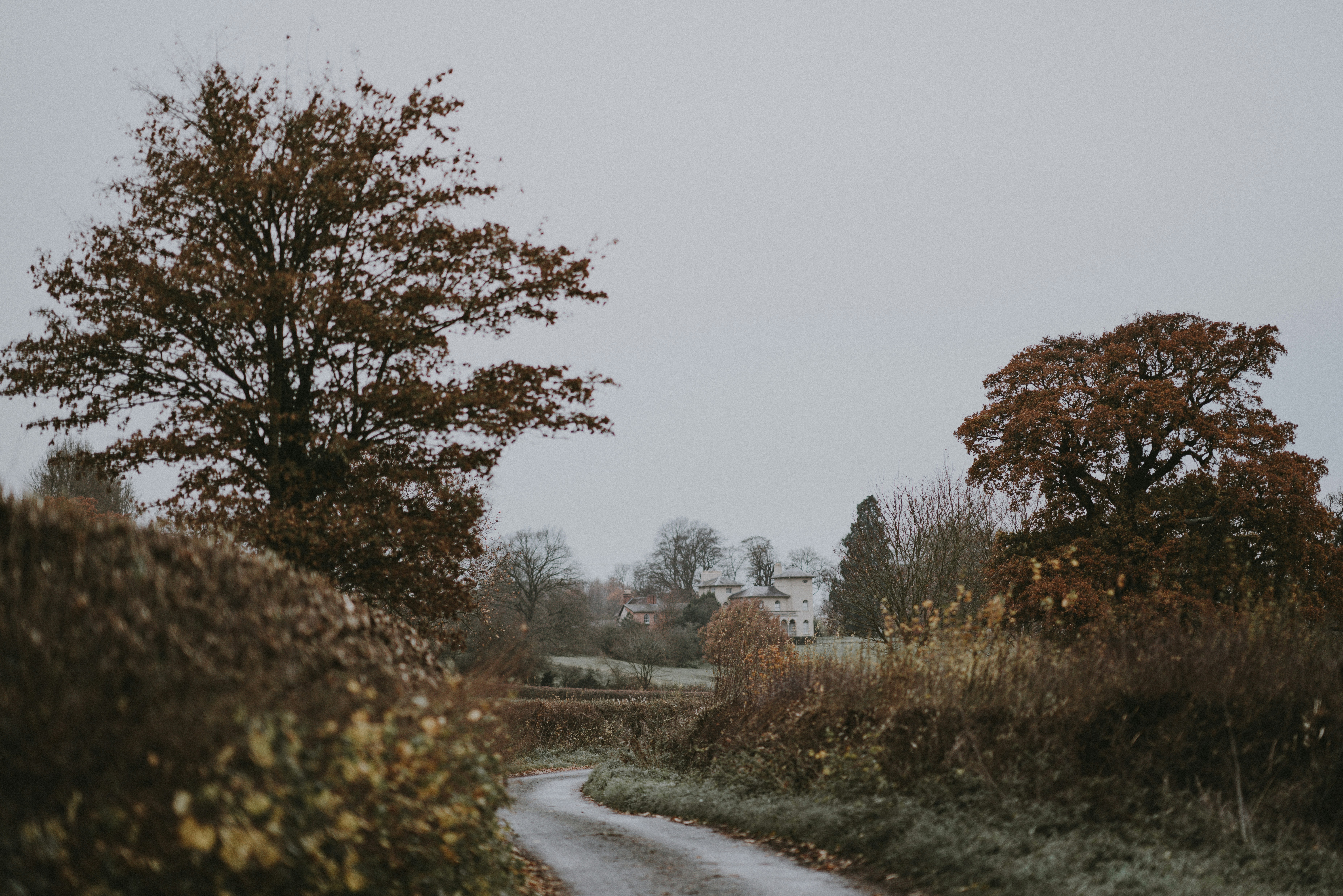 Photo by anniespratt