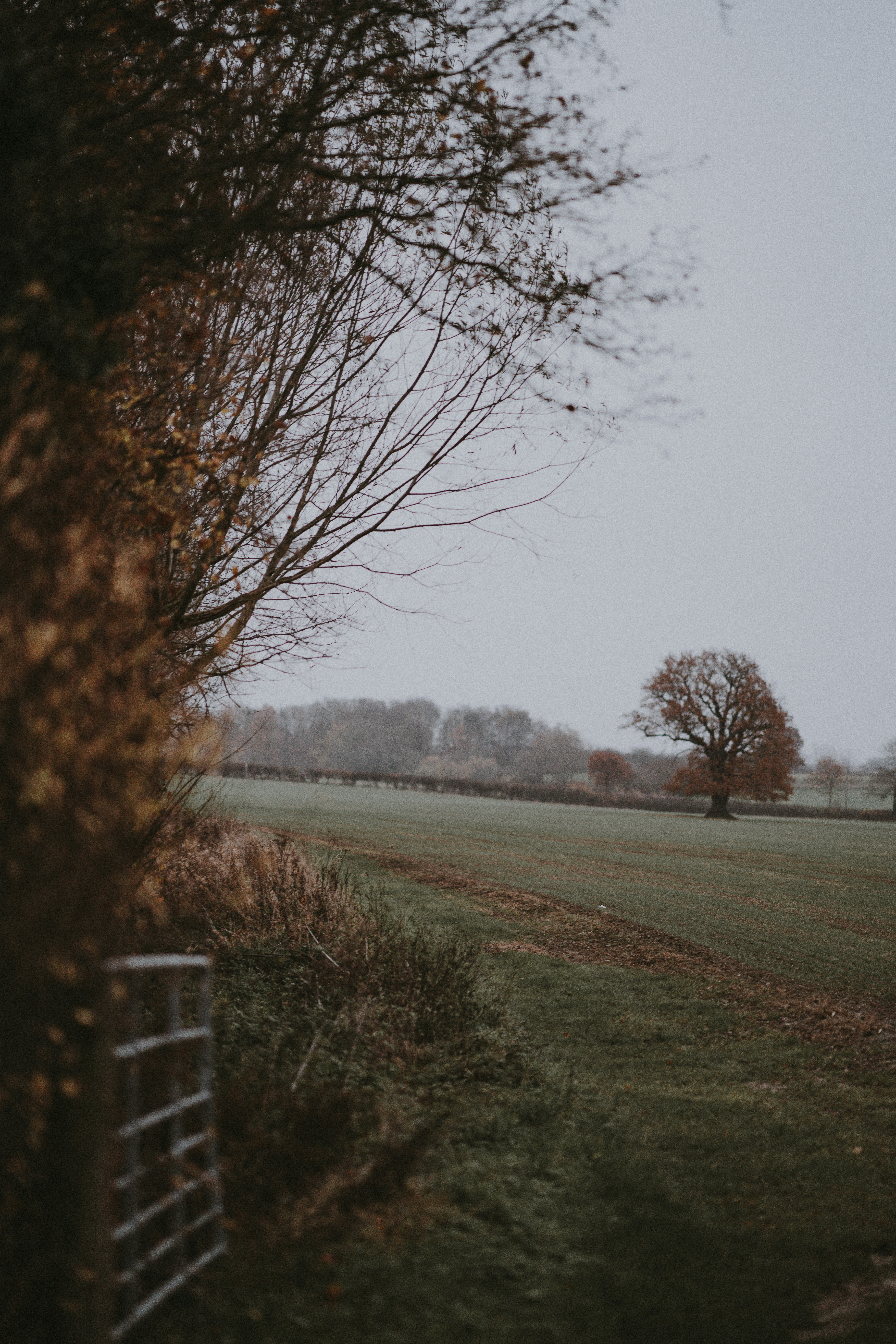 Photo by anniespratt