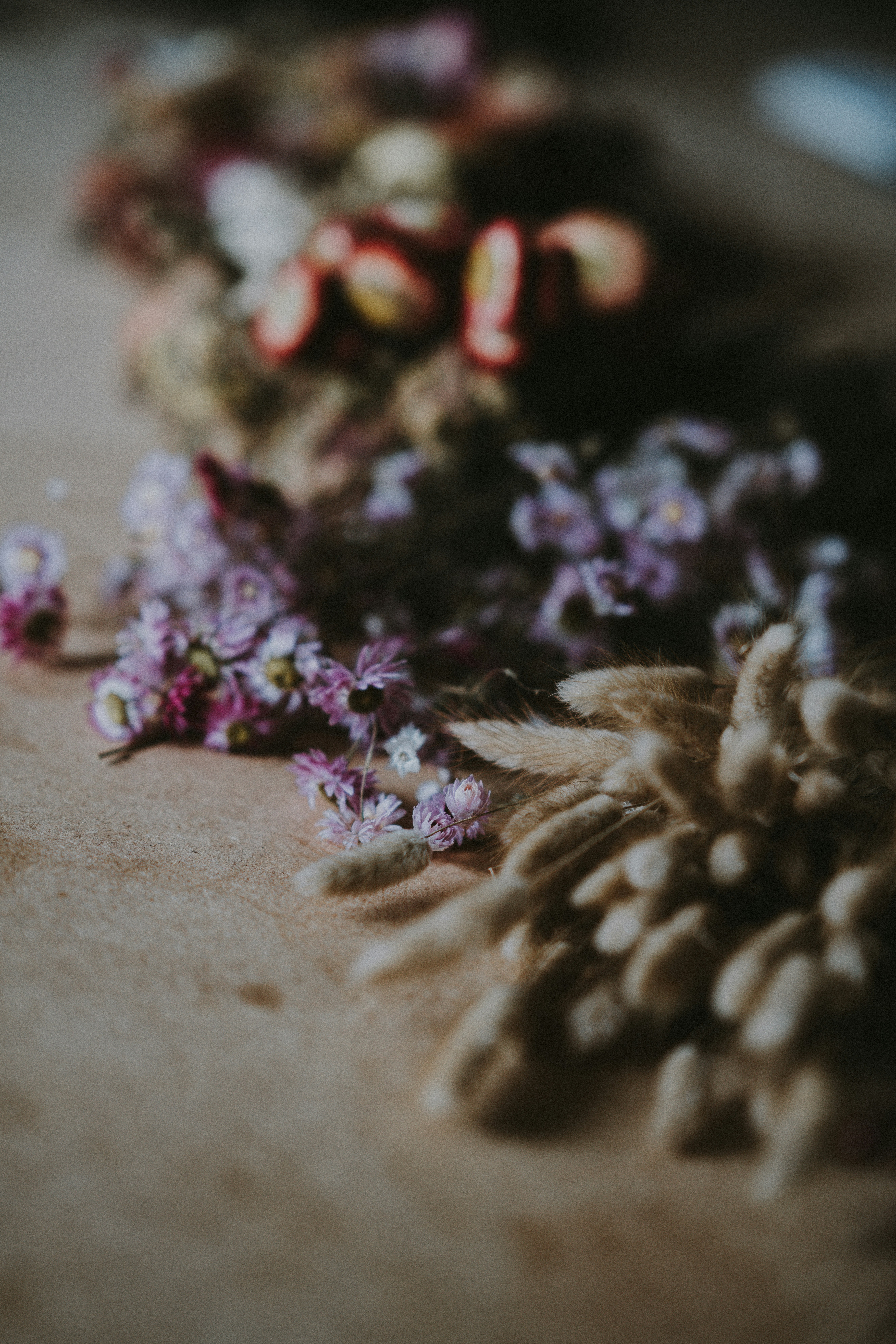 brown and purple flowers