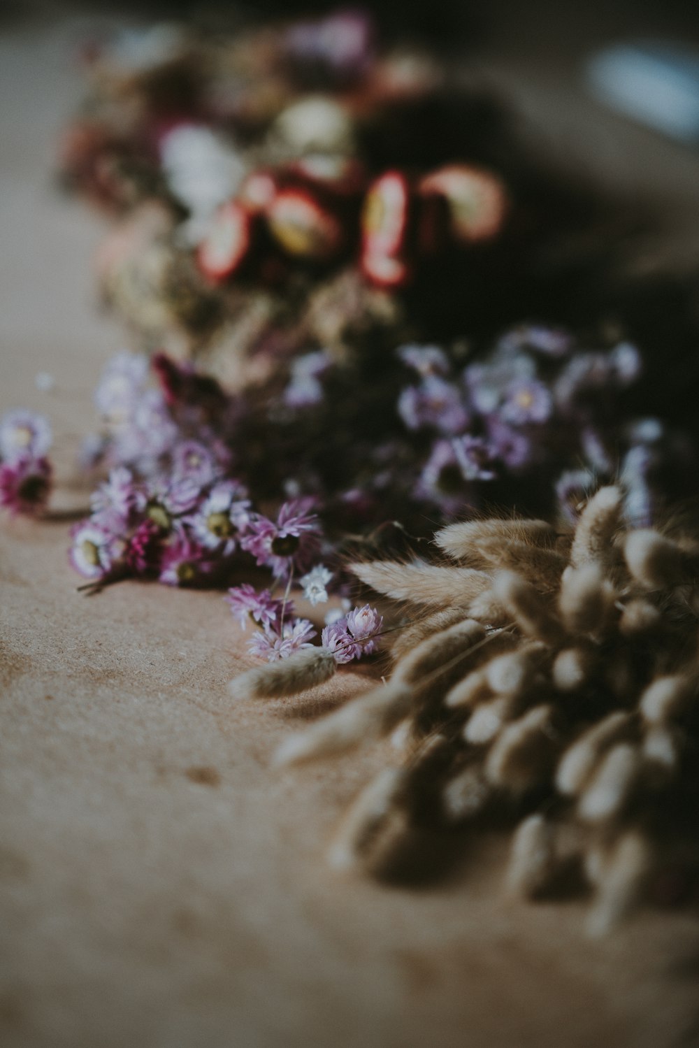 brown and purple flowers