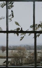 gray framed glass window