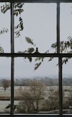 gray framed glass window
