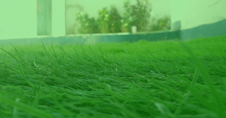 Close-up of aeration process on a lush green lawn in Plovdiv.