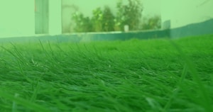 Seasonal Mowing Estimate