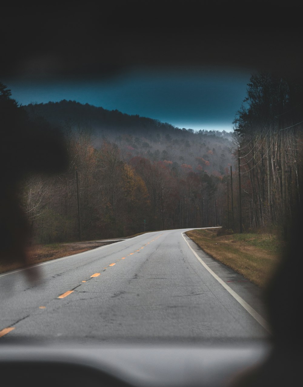 Carretera gris vacía cerca de los árboles