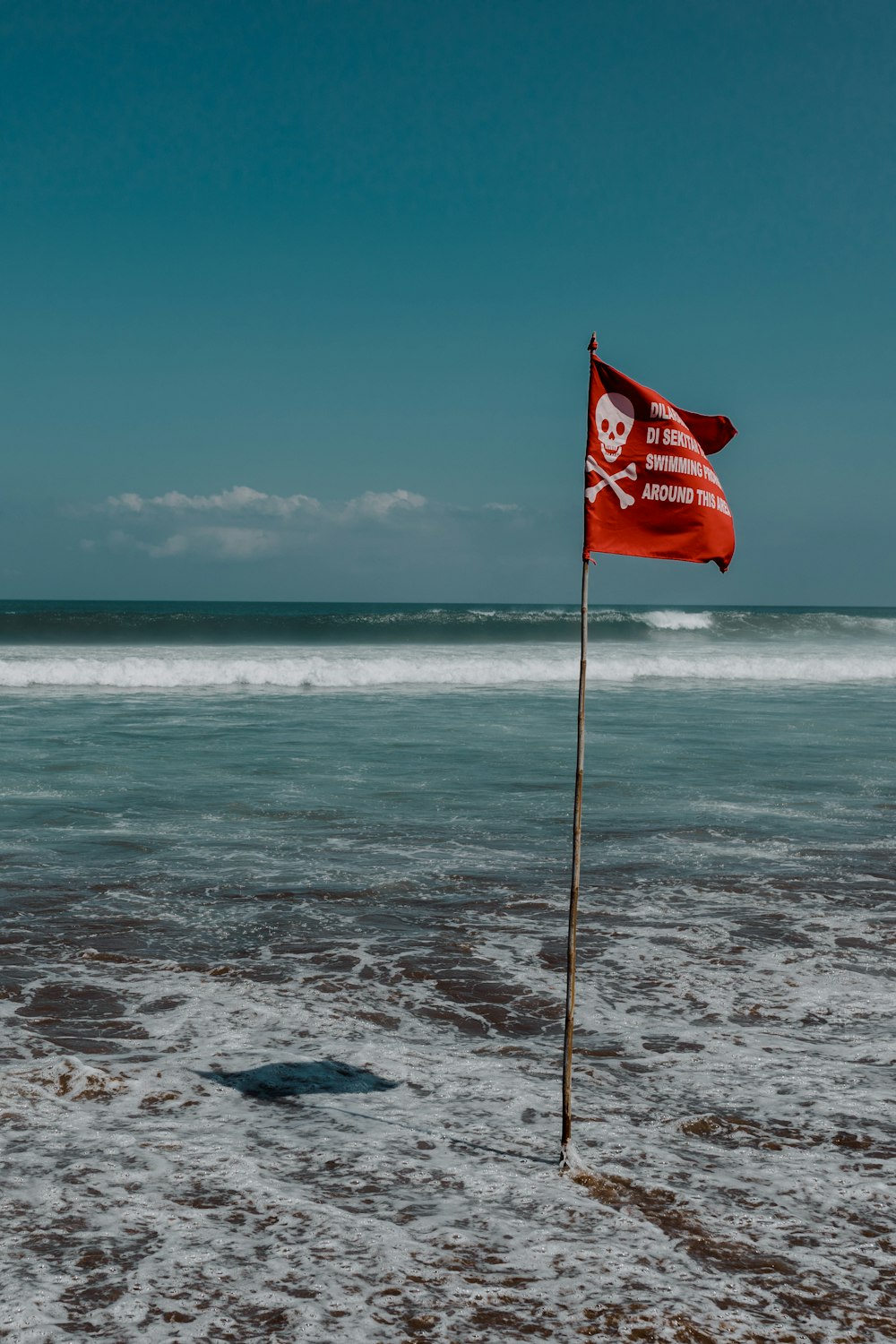 red and white flag on seashoere