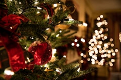 green Christmas tree