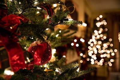 green Christmas tree