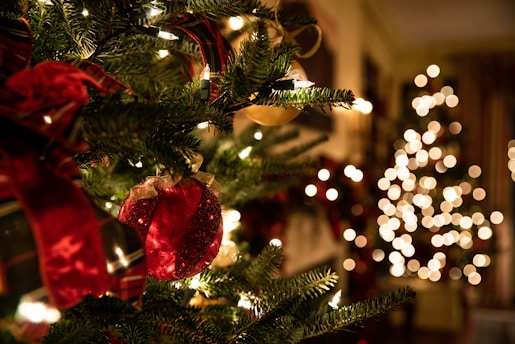 green Christmas tree