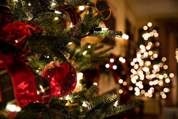 Holiday Lights party bus and limo rental