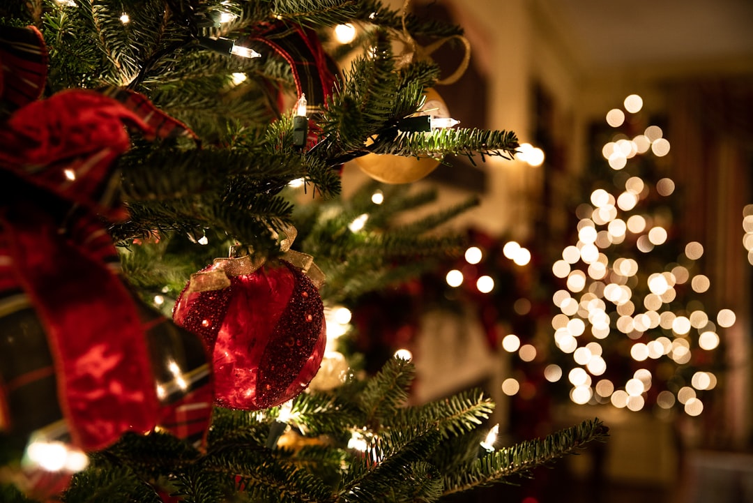 green Christmas tree,