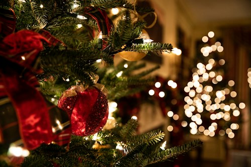 Cẩm Nang Chọn Mua Cây Thông Noel Sang Trọng Cho Căn Hộ