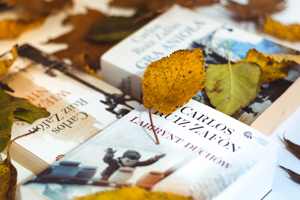 leaf on book