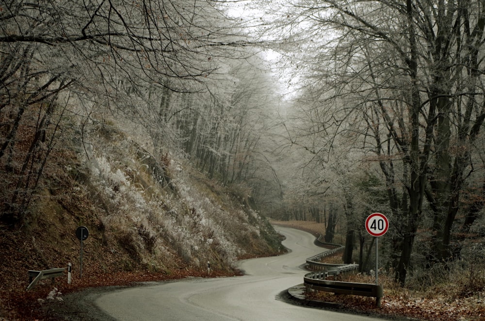 empty zig-zag road with 40 mph speed limit signage on side of hill at daytime