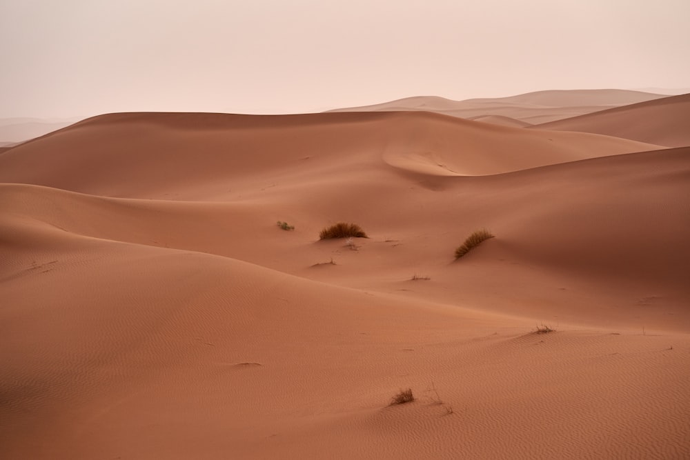 sand dunes aerial photography at daytime