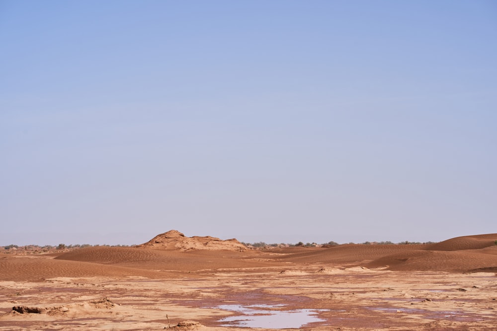 brown desert