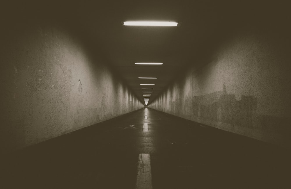empty narrow pathway