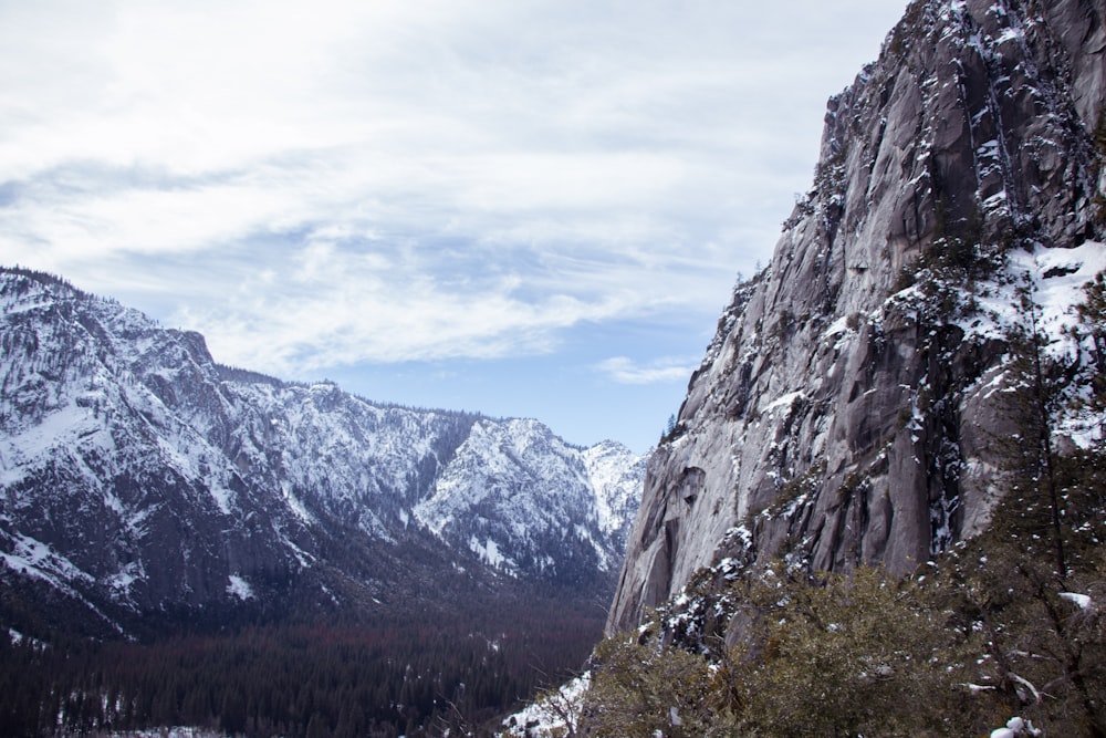 gray rock cliff mountain