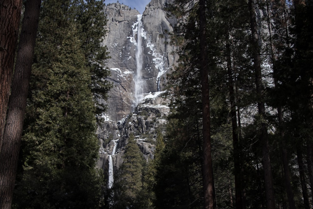 low-angle photography of waterfalls