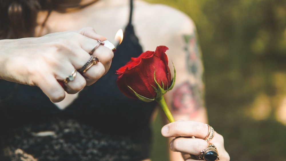 woman holding red rose