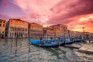 Colorful trajineras floating gently on Xochimilco canals at sunset with vibrant flowers.