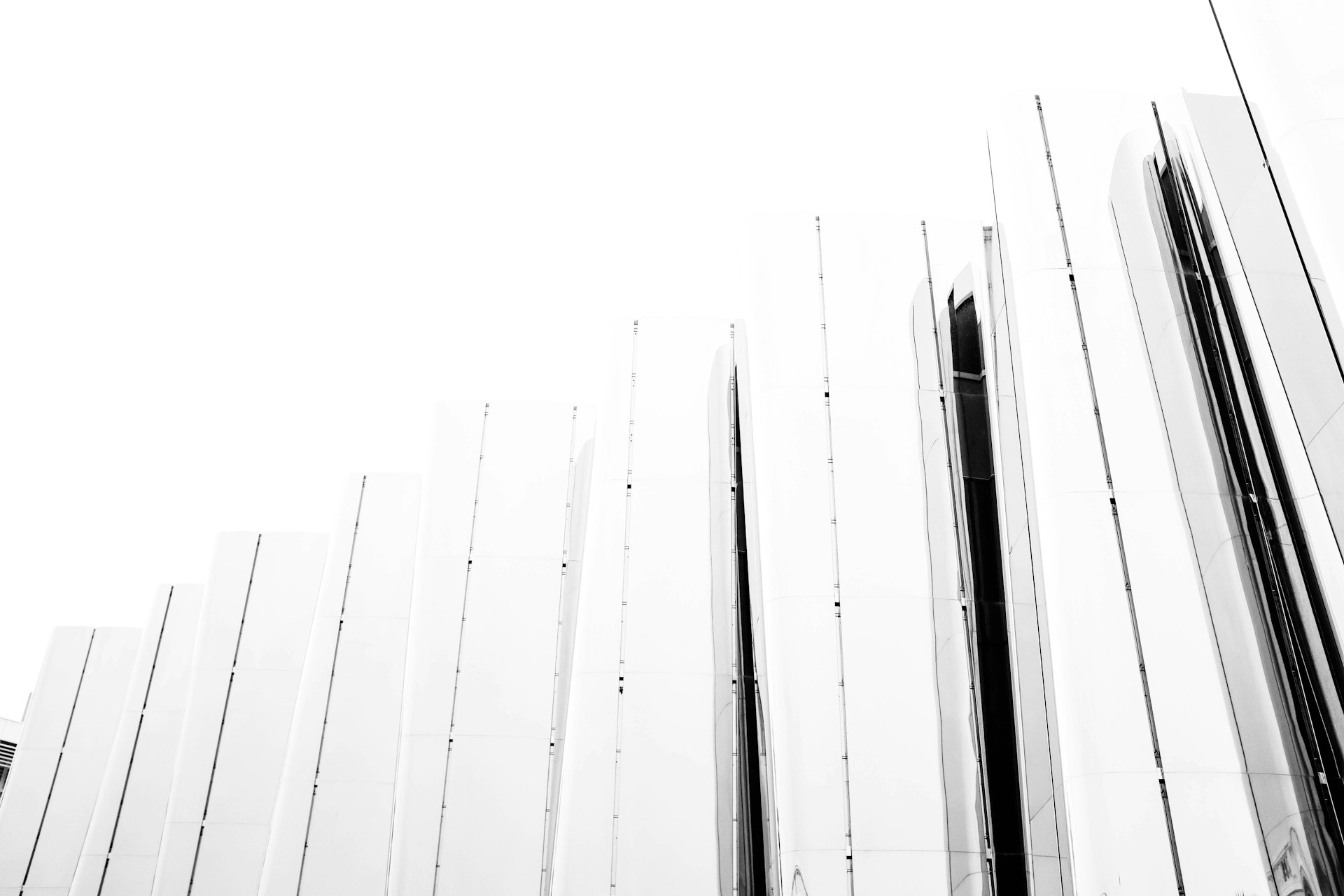 grayscale photography of fence