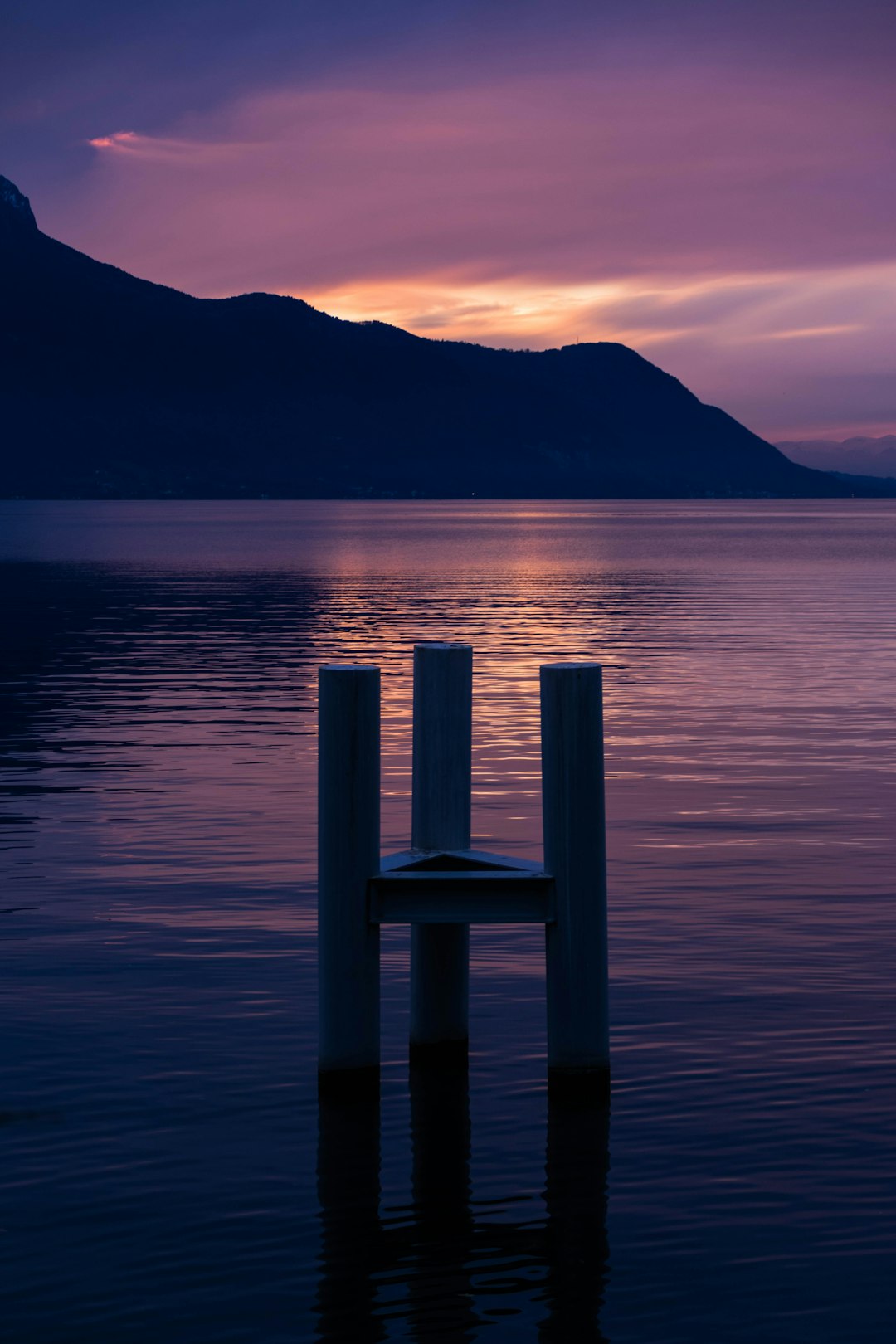 white and brown wooden stick on body of water during sunset