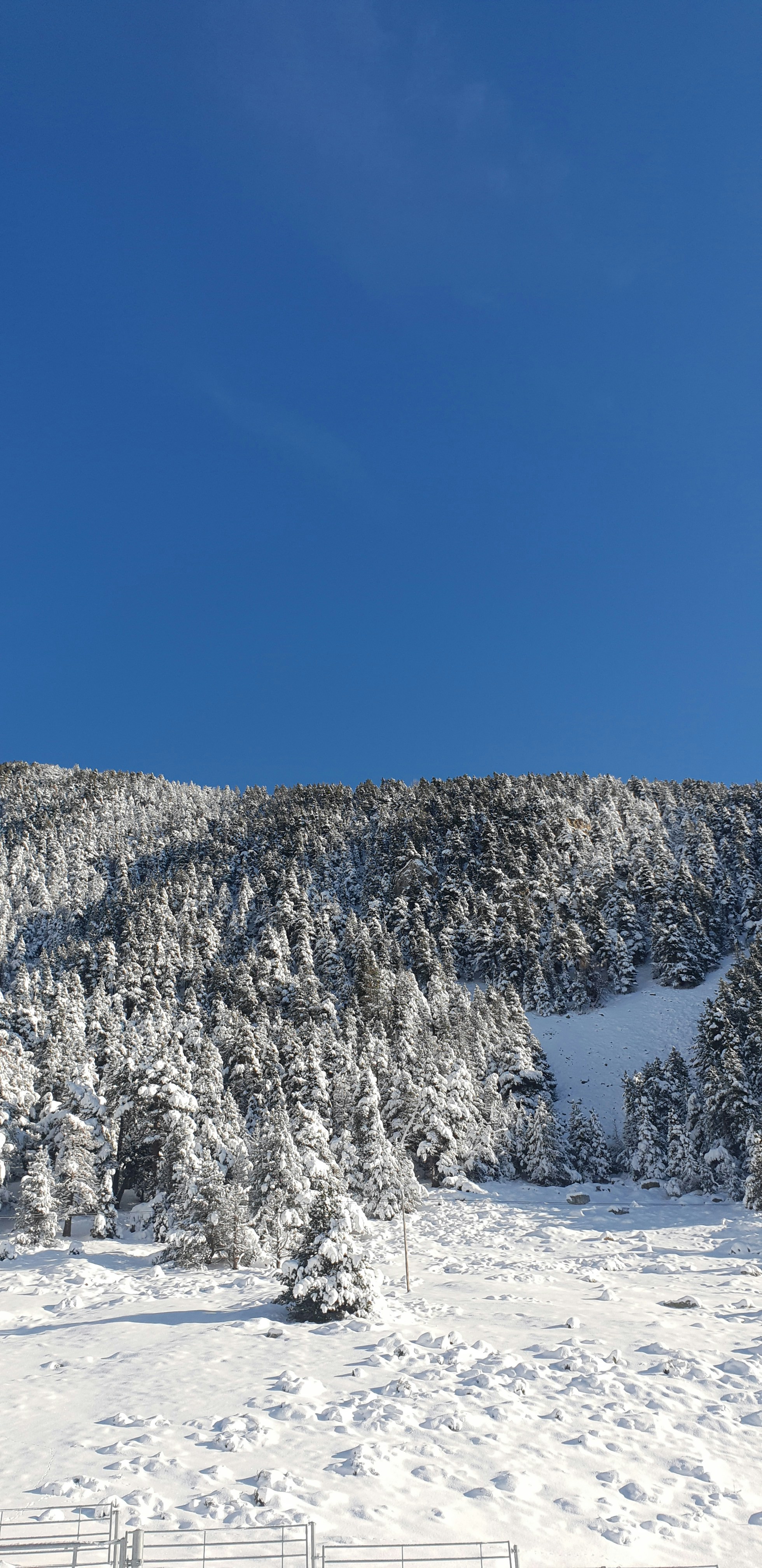 Photo by adrianmillon