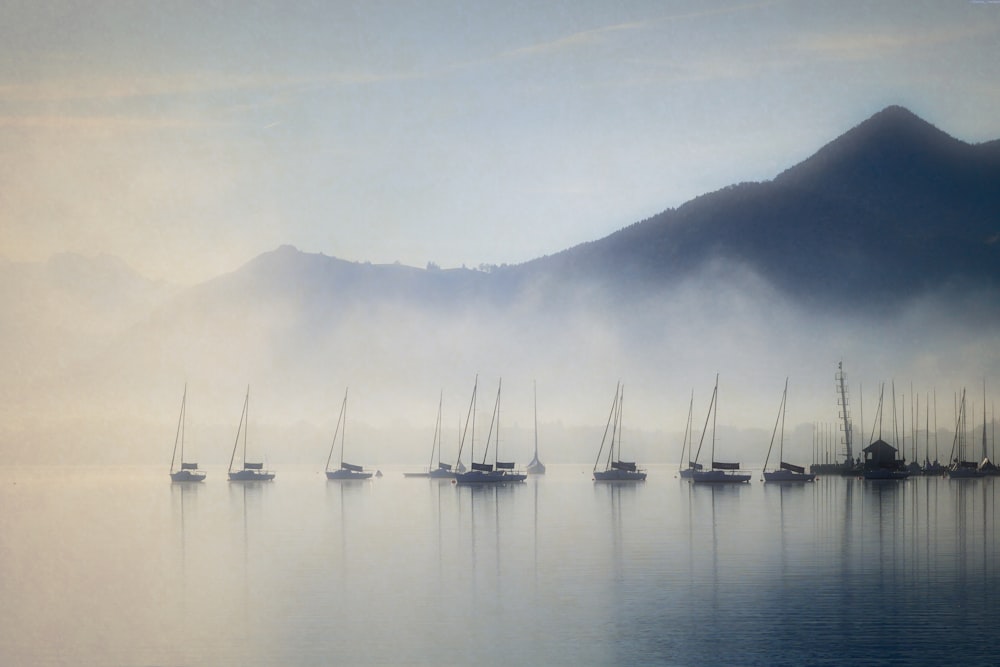 boats on body of water with fogs