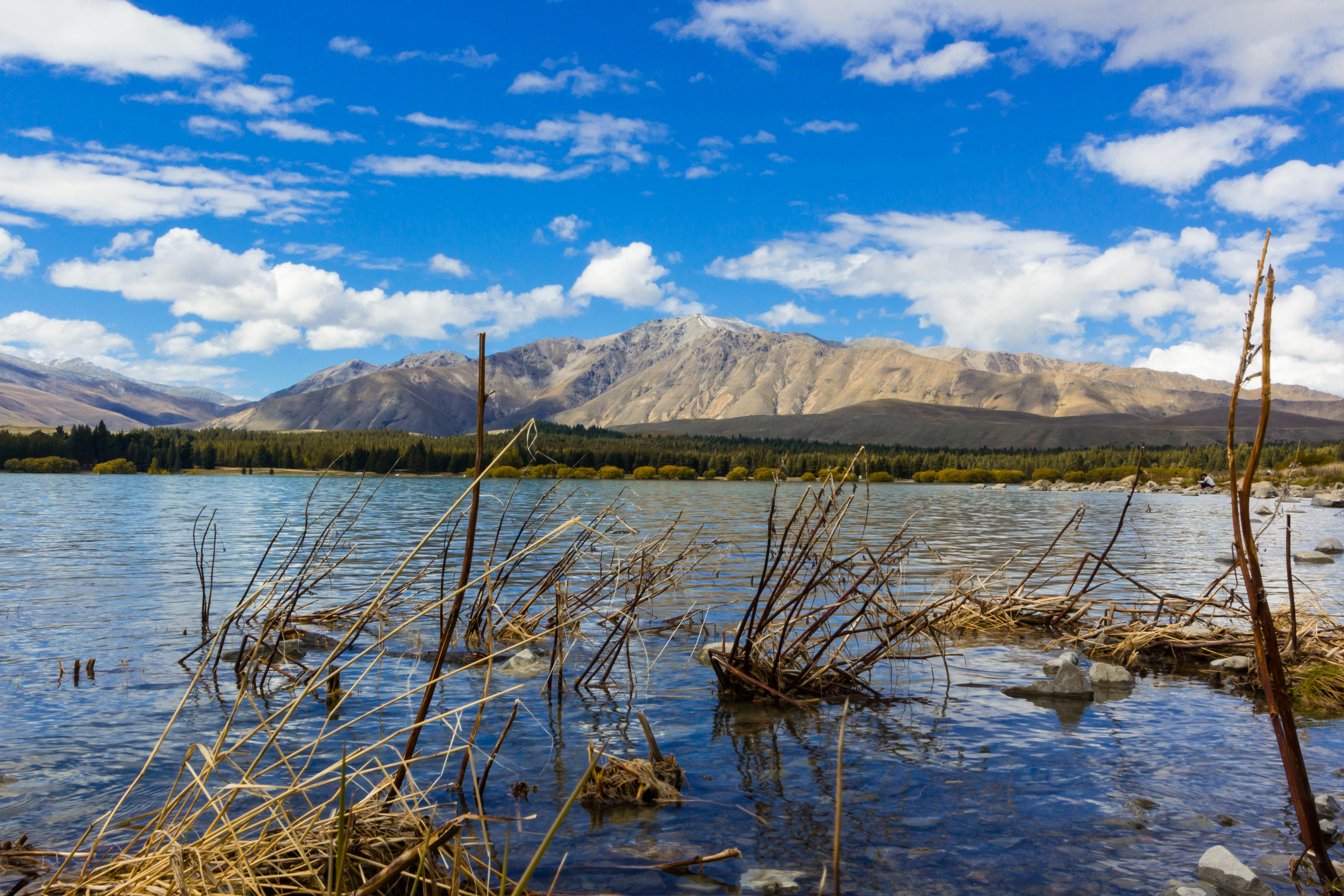 Photo by themadphotography