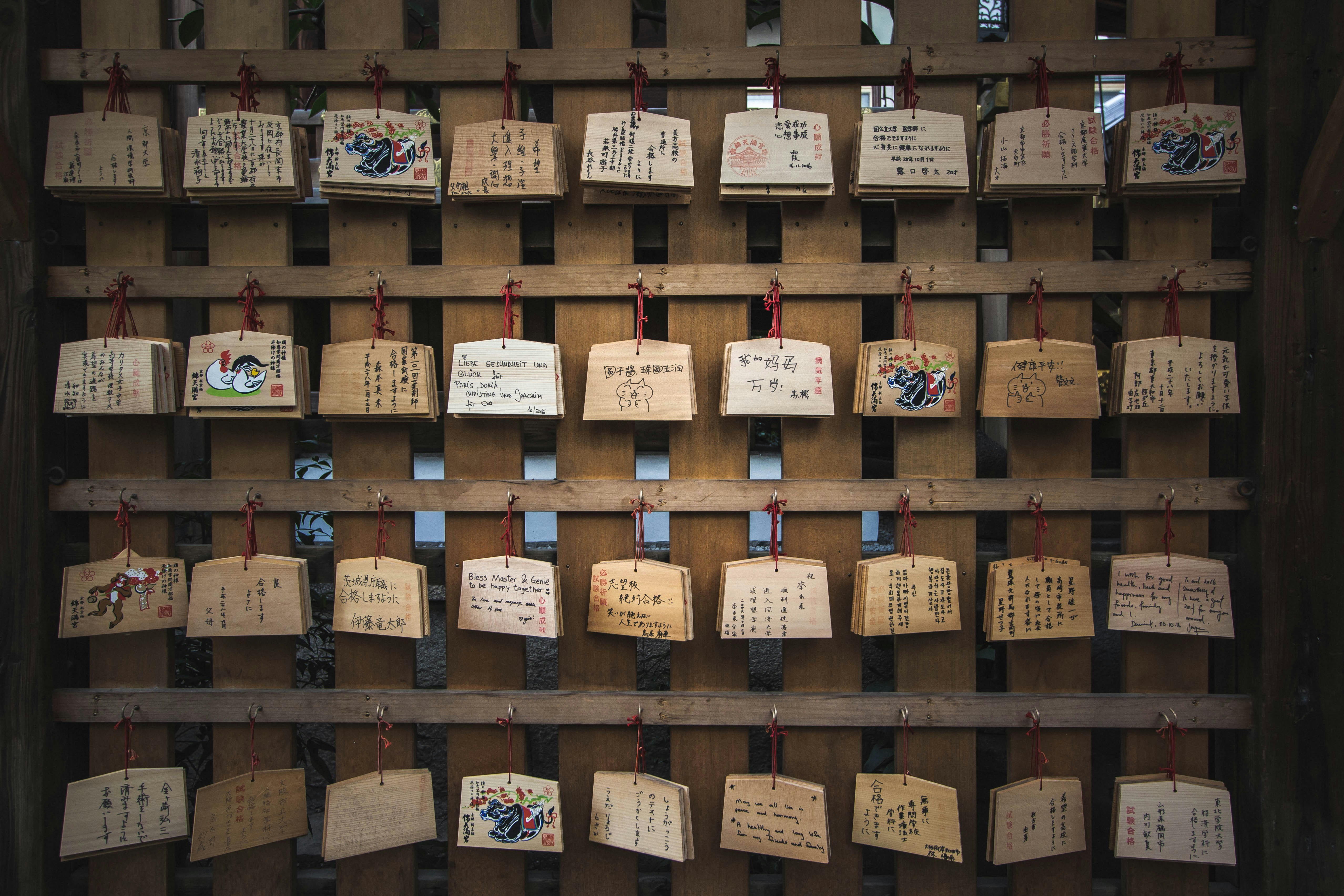 Photo by themadphotography