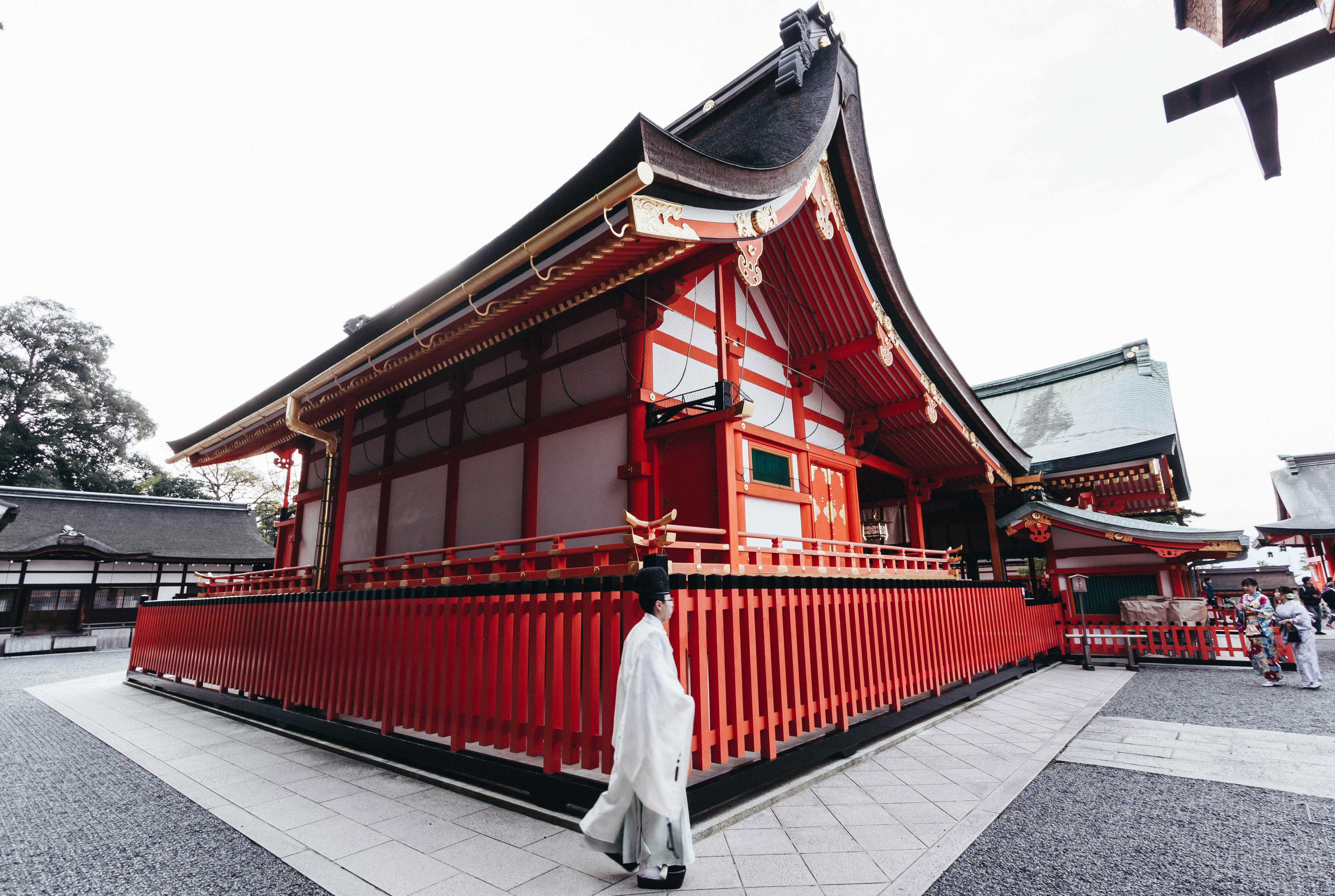 The Master Guide to Budget Travel in Japan: How to Feast and Explore Without Breaking the Bank