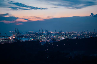 A bustling international port with cargo ships and cranes under a vibrant sunset