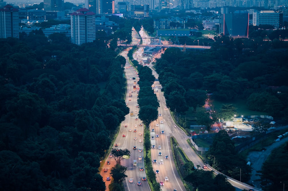 bird's-eye view photography of city
