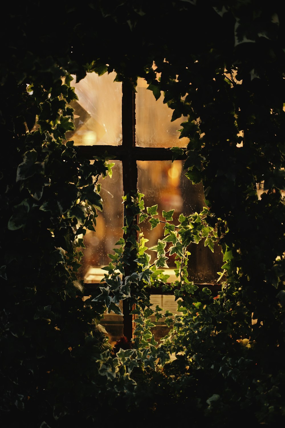 window with vines