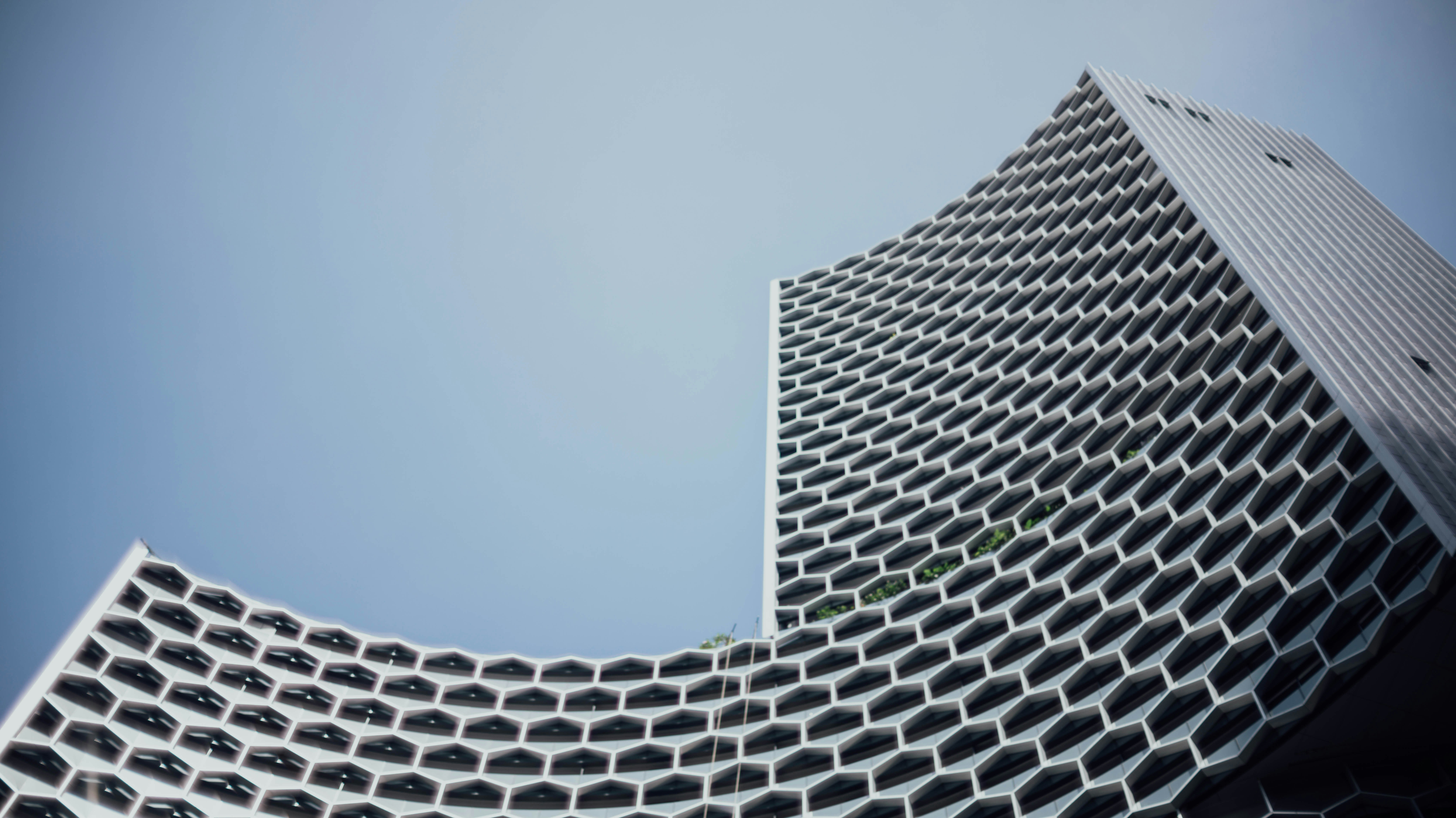 Photo by chuttersnap