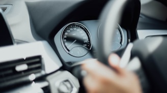 person holding steering wheel