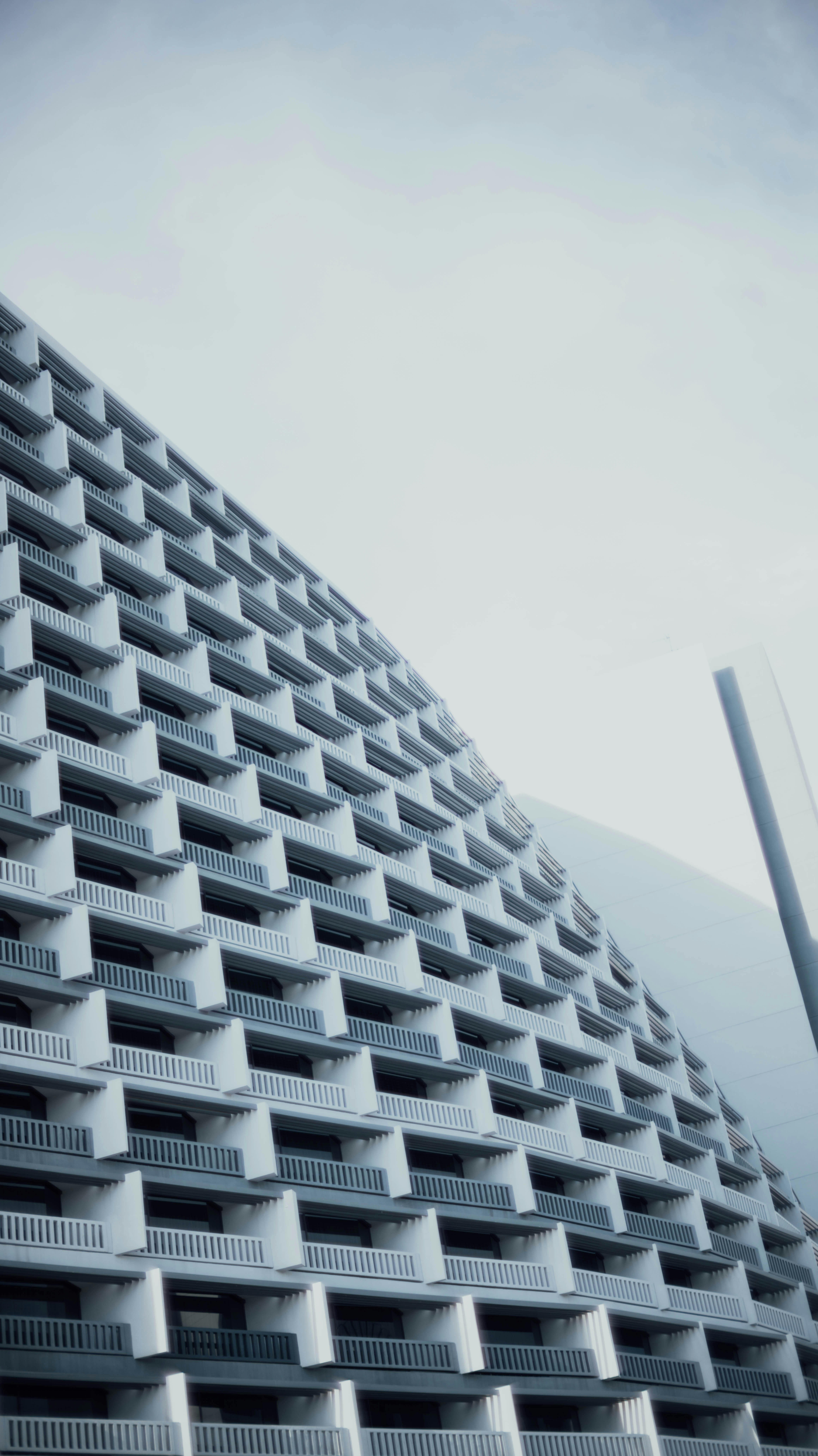 Photo by chuttersnap