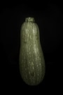 gourd vegetable