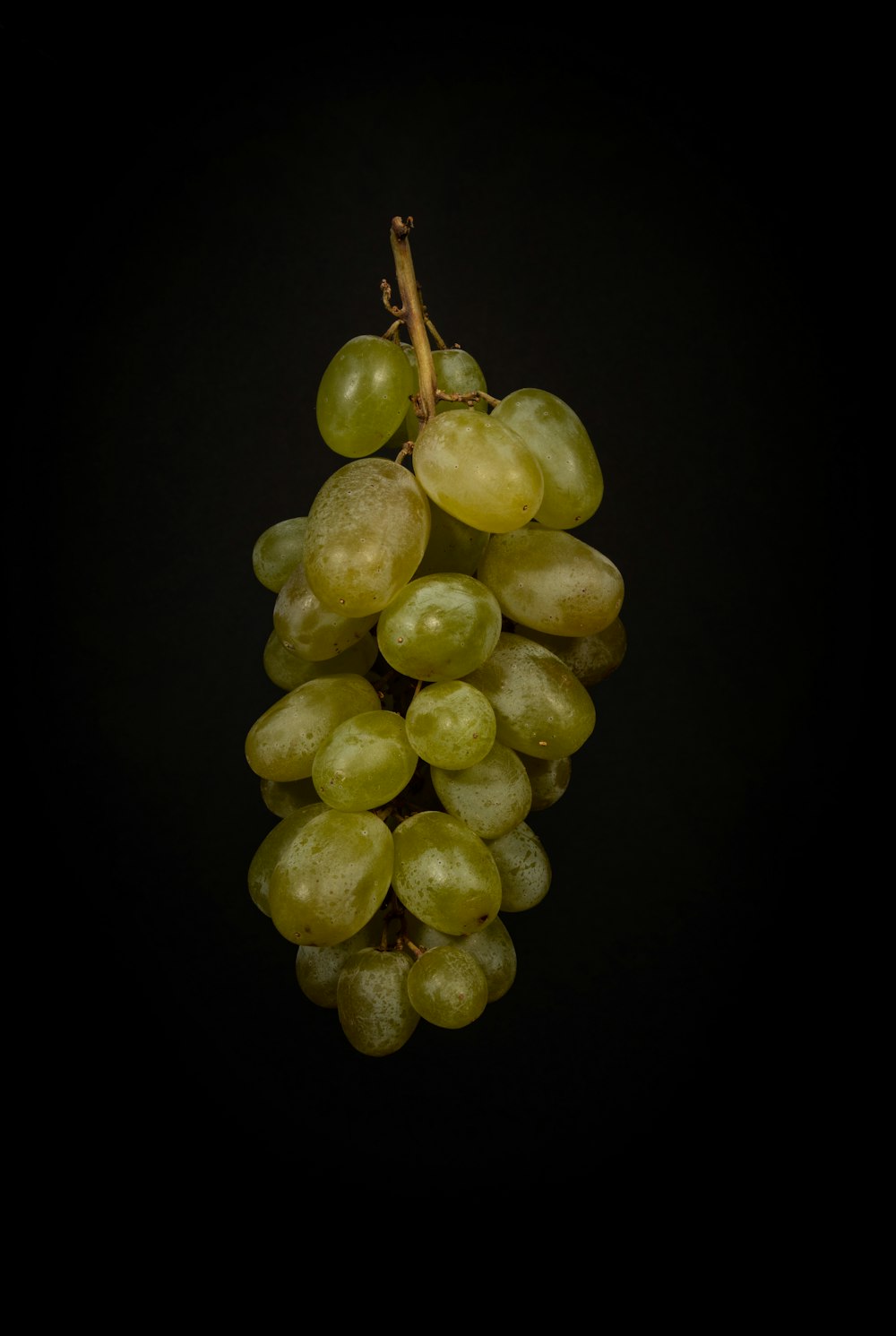 green grape fruits