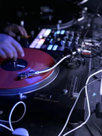 DJ spinning reggae vinyl records with a backdrop of green, yellow, and red lights
