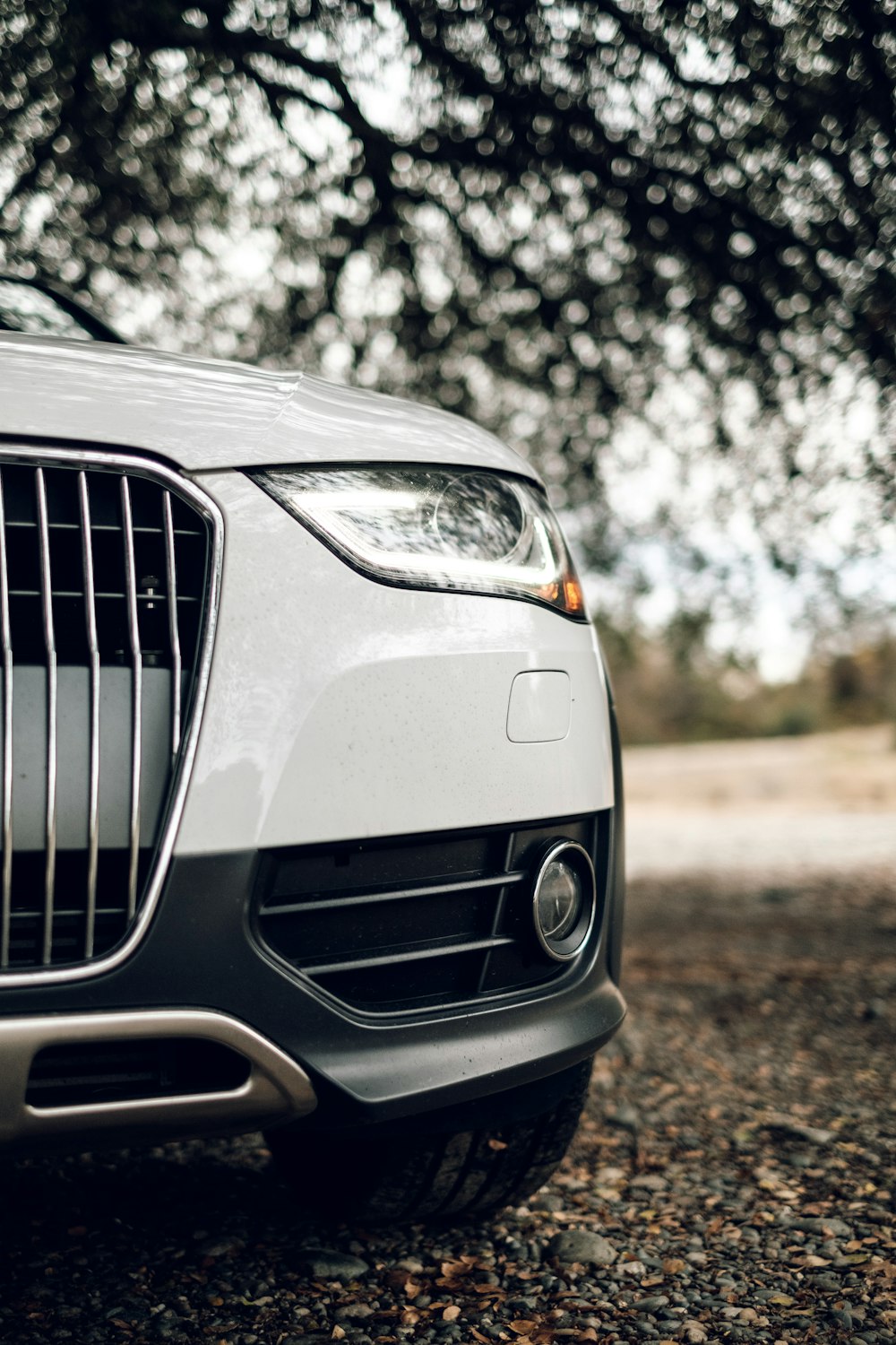 white Audi parked near tree in closeup photography