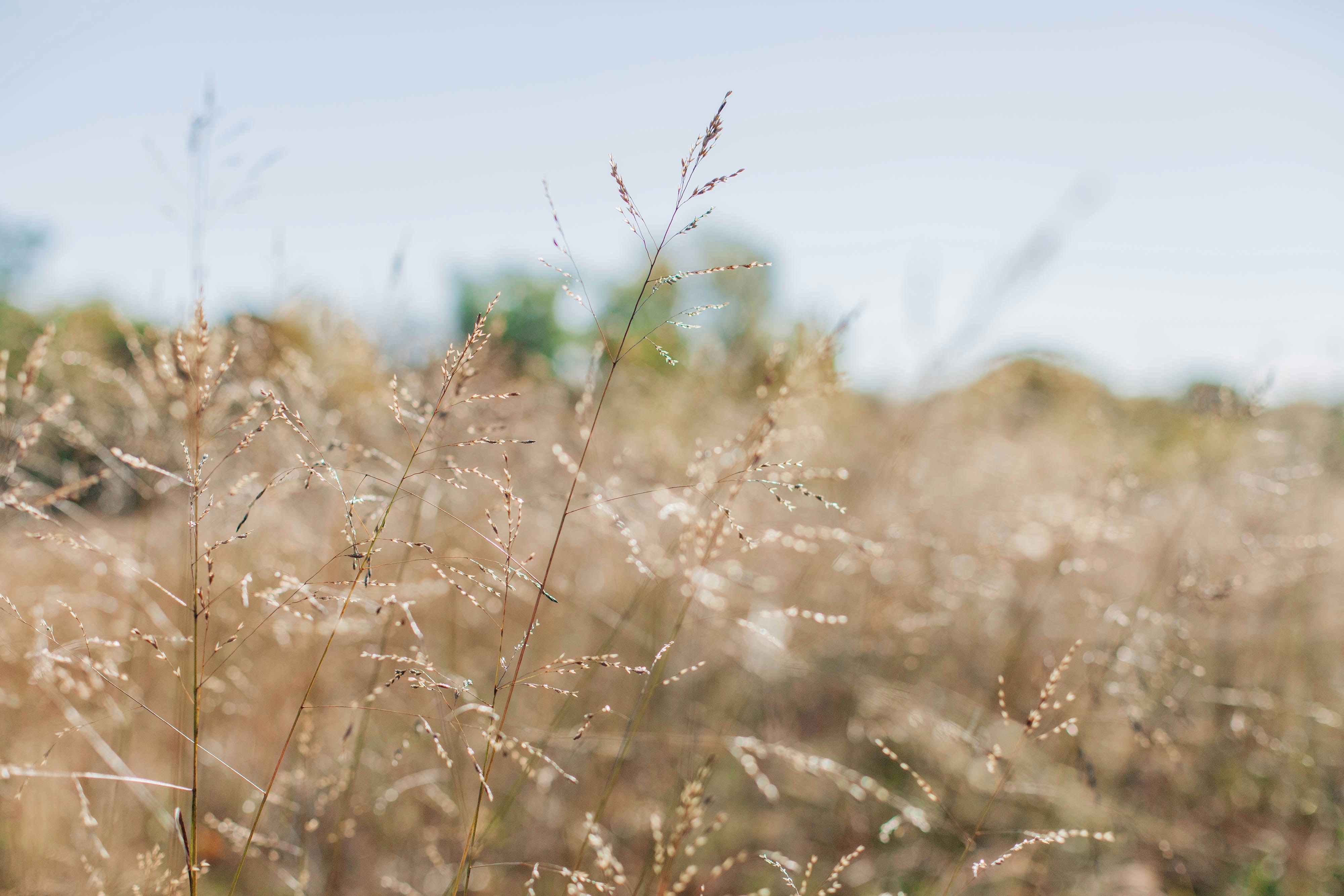 Photo by heathermount