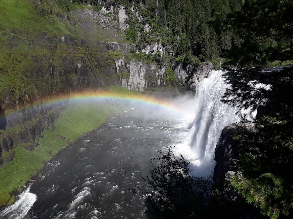 waterfalls with rainbow surrounded with trees