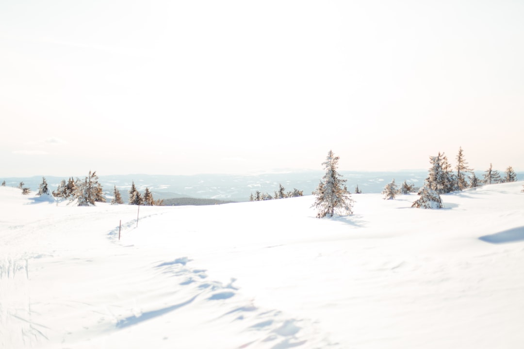 snow land, An elevated spot at the top of the valley in Sjusjøen, Norway.<p></figure>If you