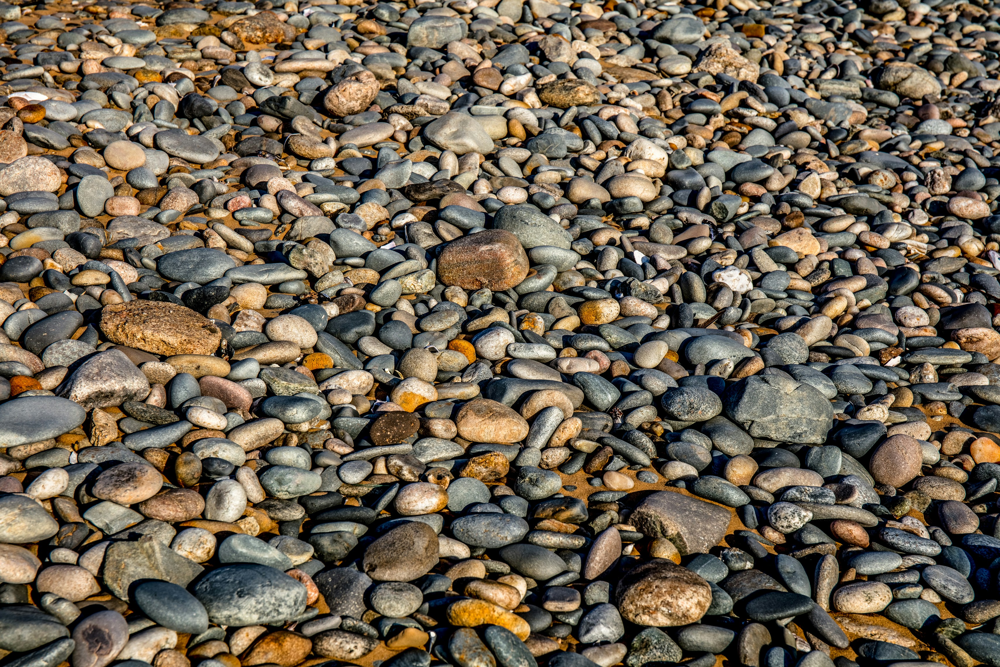 Photo by imedianamibia