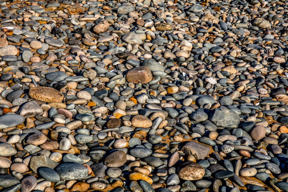 brown and gray pebbles