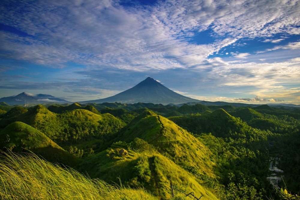 green hills view during daytime