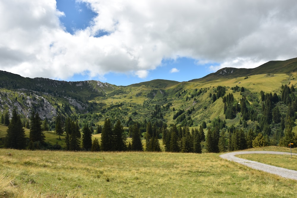 mountain cover with trees photography